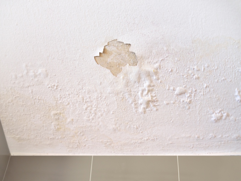 Signs of Leaks in Odessa, TX